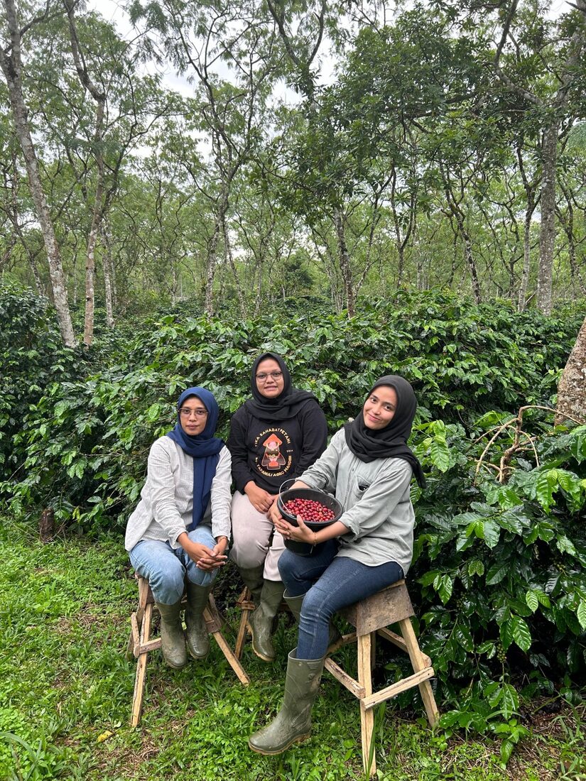 Women coffee growers during harvest